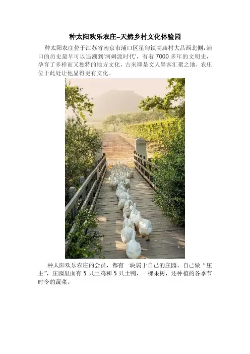 种太阳欢乐农庄-天然乡村文化体验园