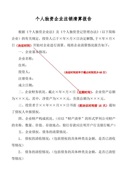 个人独资企业清算报告