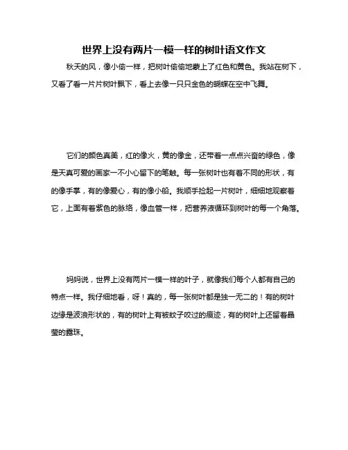 世界上没有两片一模一样的树叶语文作文
