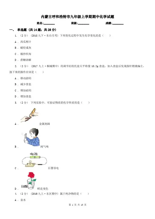 内蒙古呼和浩特市九年级上学期期中化学试题