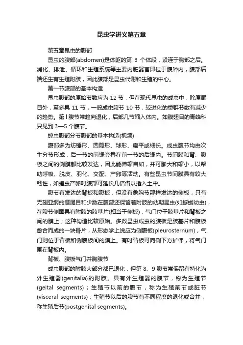 昆虫学讲义第五章