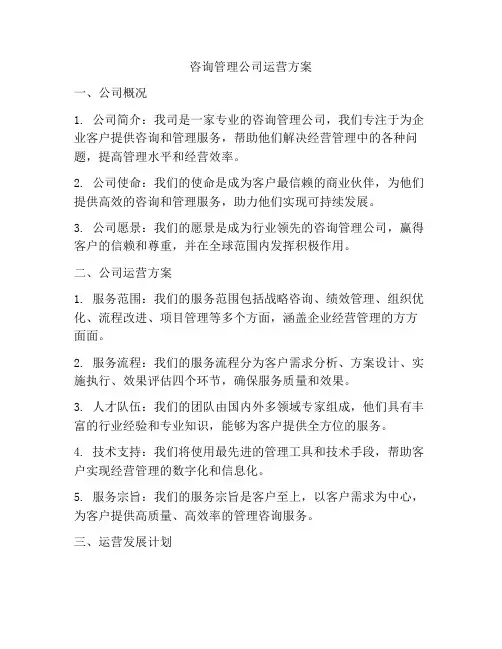 咨询管理公司运营方案