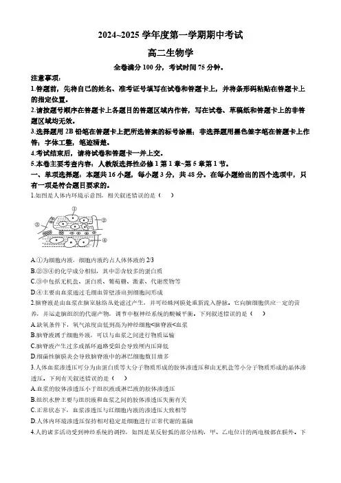 甘肃省多校2024-2025学年高二上学期期中联考生物试卷(含答案)