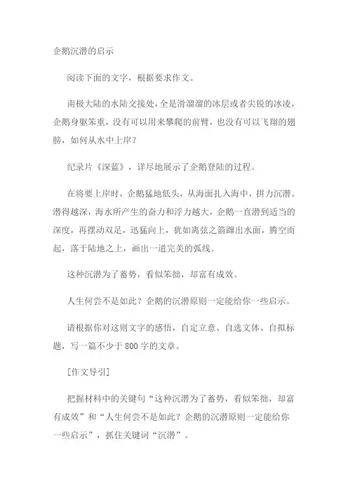 企鹅沉潜的启示