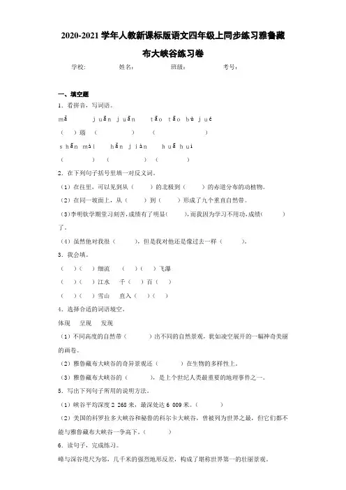 2020-2021学年人教新课标版语文四年级上同步练习雅鲁藏布大峡谷练习卷