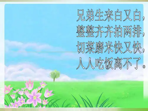 幼儿园大班健康教案换牙PPT课件