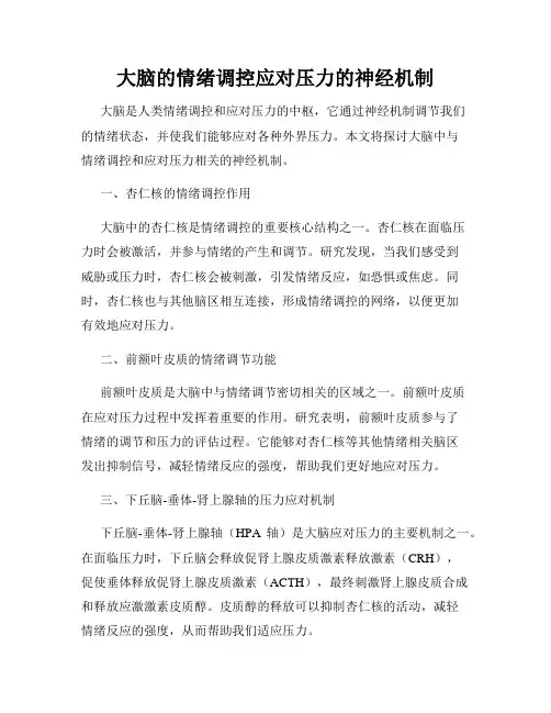 大脑的情绪调控应对压力的神经机制