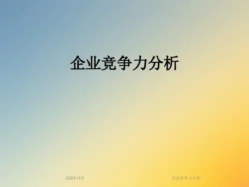 企业竞争力分析