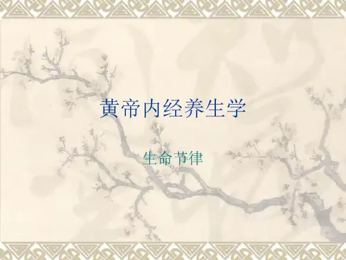 十二经络