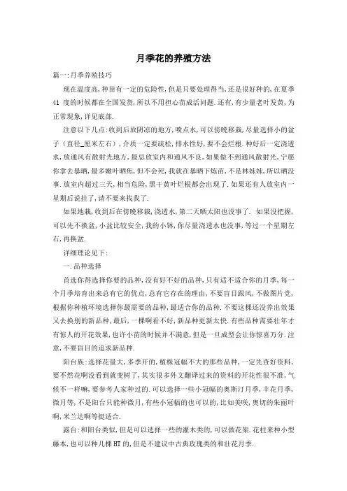月季花的养殖方法