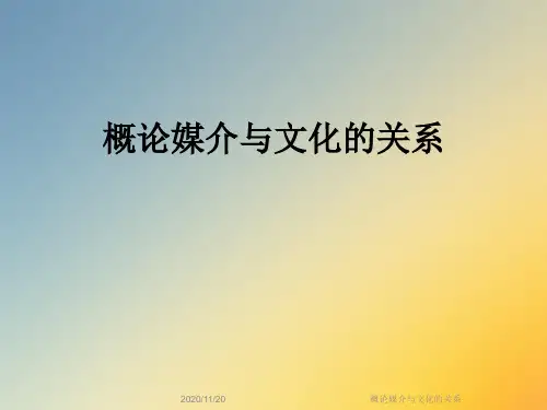 概论媒介与文化的关系