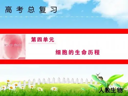 2019届高三人教版生物一轮复习课件：四单元13讲细胞的分化、衰老、凋亡及癌变