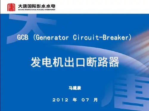 GCB课件