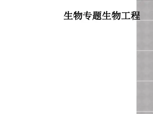 生物专题生物工程