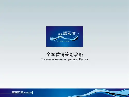 饶清水湾假别墅房地产项目全案营销策划攻略营销策划方案报告案例