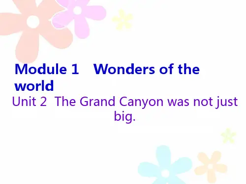 外研版九年级英语上册课件：Module 1 Unit 2 (共33张PPT)