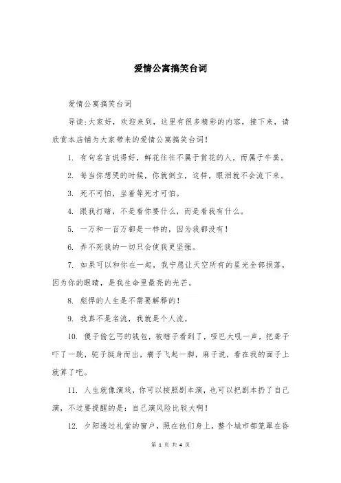爱情公寓搞笑台词