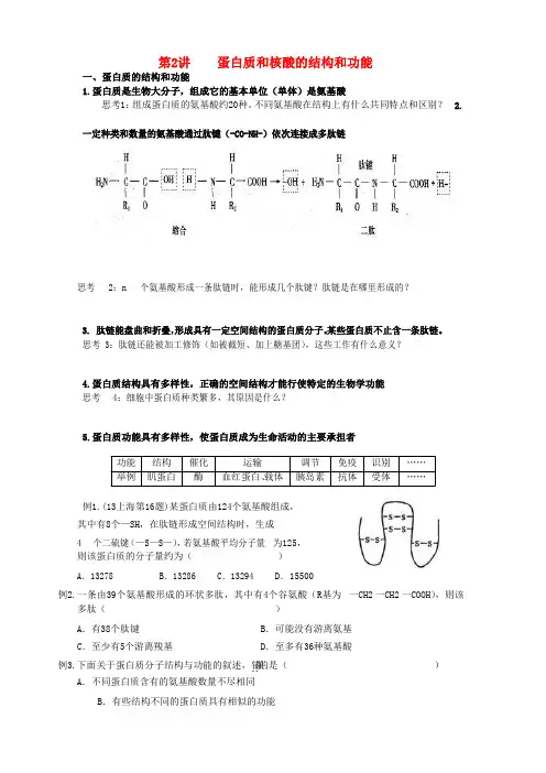 高中生物总复习 第2章 组成细胞的分子 第2讲 蛋白质和核酸的结构和功能讲义 新人教版必修1
