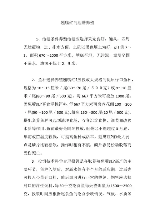 翘嘴红的池塘养殖
