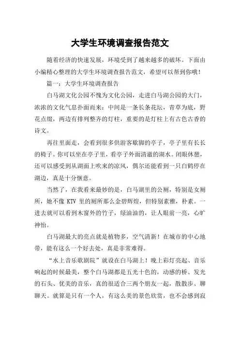 大学生环境调查报告范文