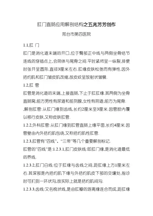 肛门直肠的解剖