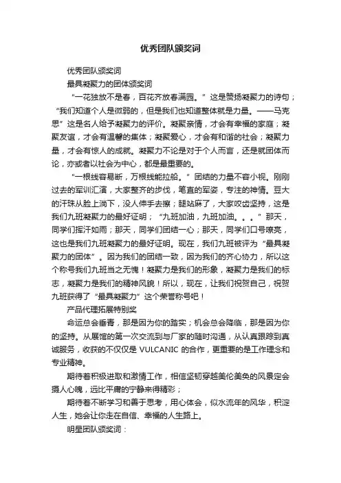 优秀团队颁奖词