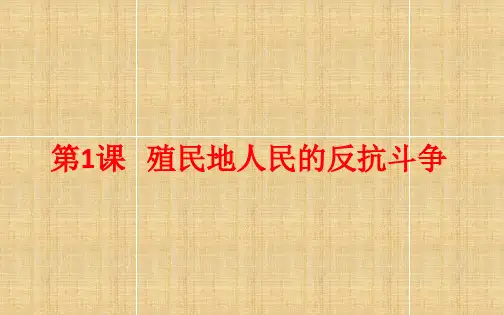 人教部编版九年级下册第1课殖民地人民的反抗斗争(共17张PPT)