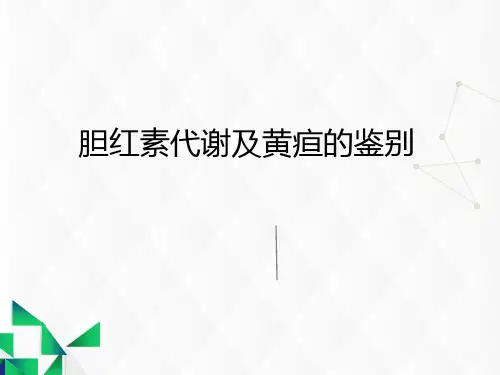 胆红素代谢及黄疸的鉴别.pptx