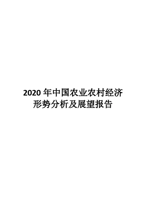2020年中国农业农村经济形势分析及展望报告