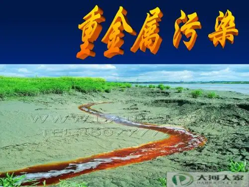 重金属污染