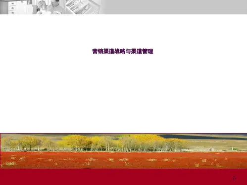 渠道管理与拓展ppt课件