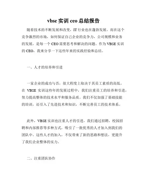 vbse实训ceo总结报告