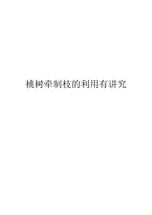 桃树牵制枝的利用有讲究