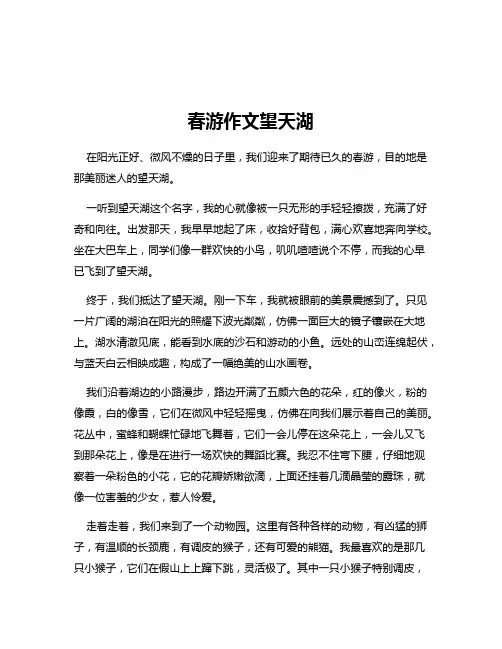 春游作文望天湖