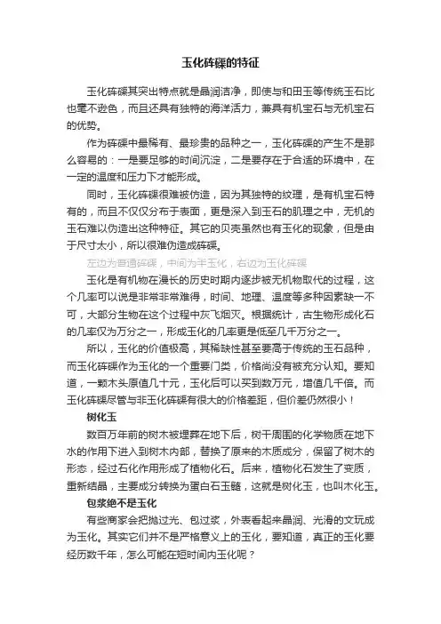 玉化砗磲的特征