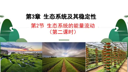 3.2生态系统的能量流动第2课时课件-高二上学期生物人教版选择性必修2