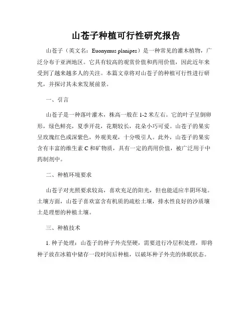 山苍子种植可行性研究报告