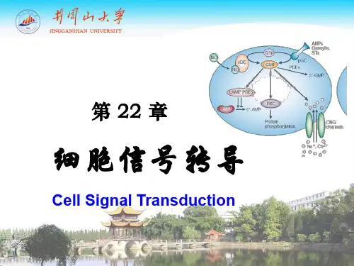 细胞生物化学第22章 细胞信号转导