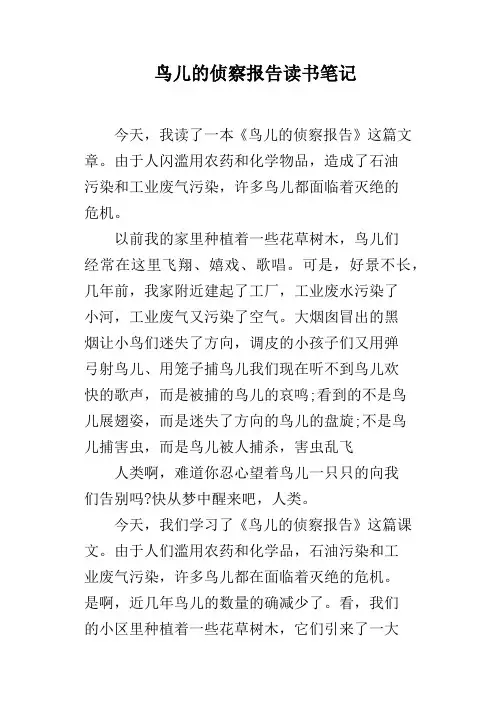 鸟儿的侦察报告读书笔记