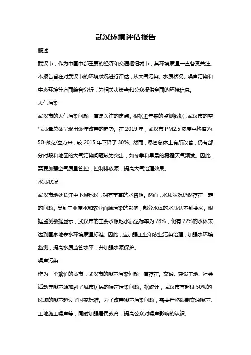 武汉环境评估报告