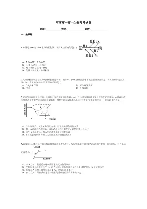 河南高一高中生物月考试卷带答案解析
