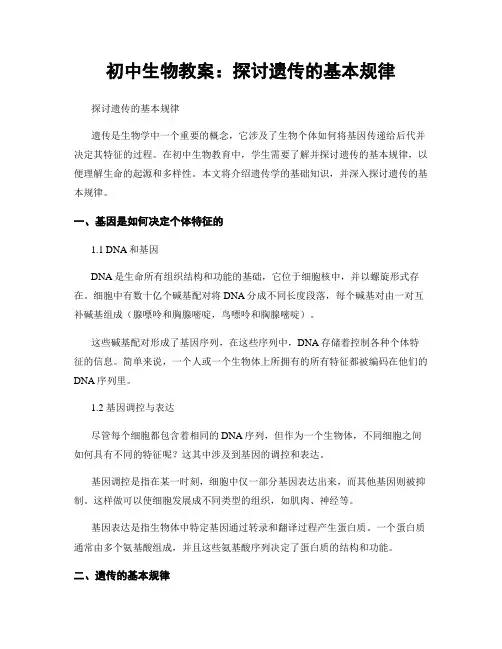 初中生物教案：探讨遗传的基本规律