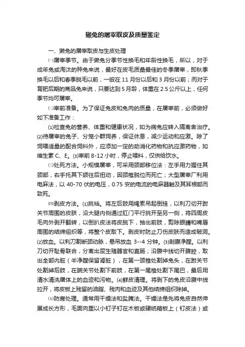 獭兔的屠宰取皮及质量鉴定