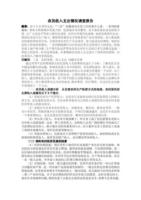 农民收入支出情况调查报告