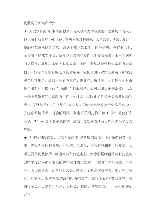 狗狗皮肤病的种类和治疗