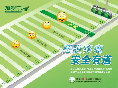 加罗宁地佐辛注射液