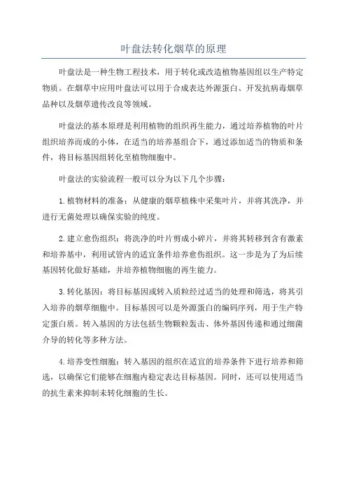 叶盘法转化烟草的原理
