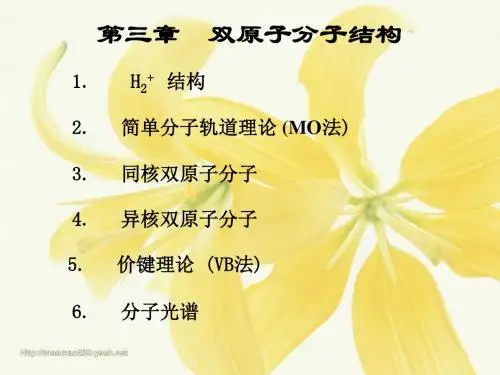 第3章双原子分子的结构-资料