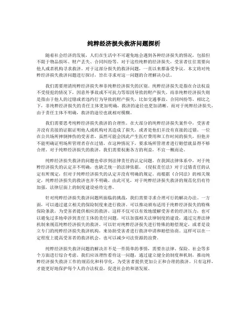 纯粹经济损失救济问题探析