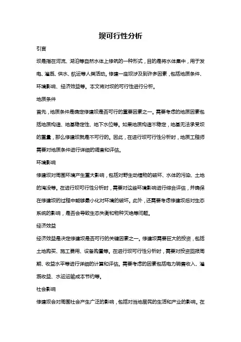 坝可行性分析